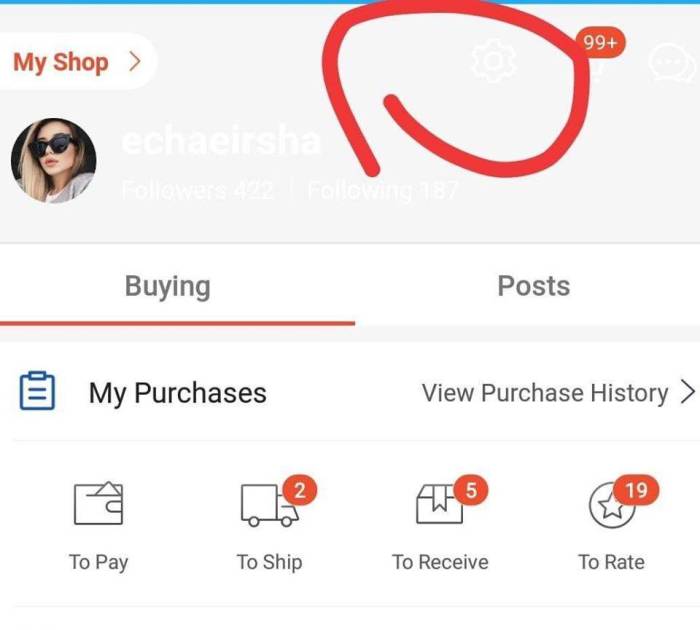 Hak istimewa saham nomor-1 di ISA dan SIPP saya